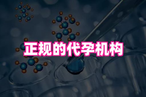 国际助孕网站 2