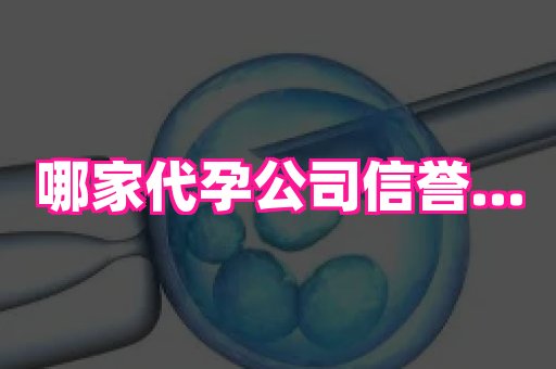 国际助孕网站 4